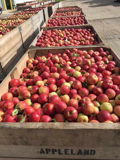 fruit company that wholesale apple in greenwood ms area